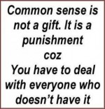 Common Sense